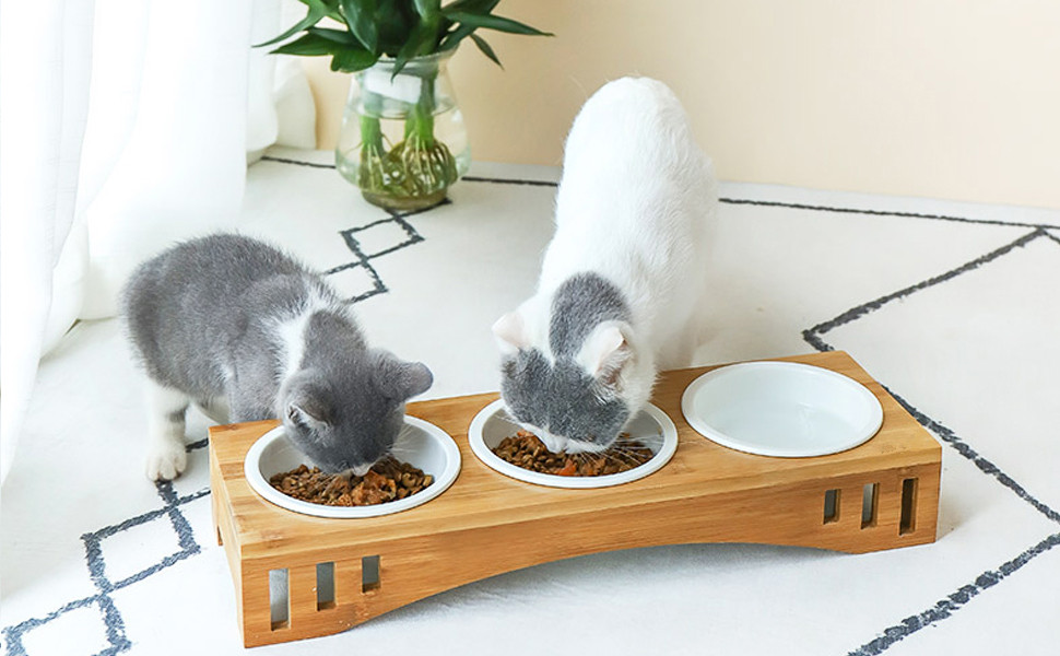 Katzennäpfe & Tränken