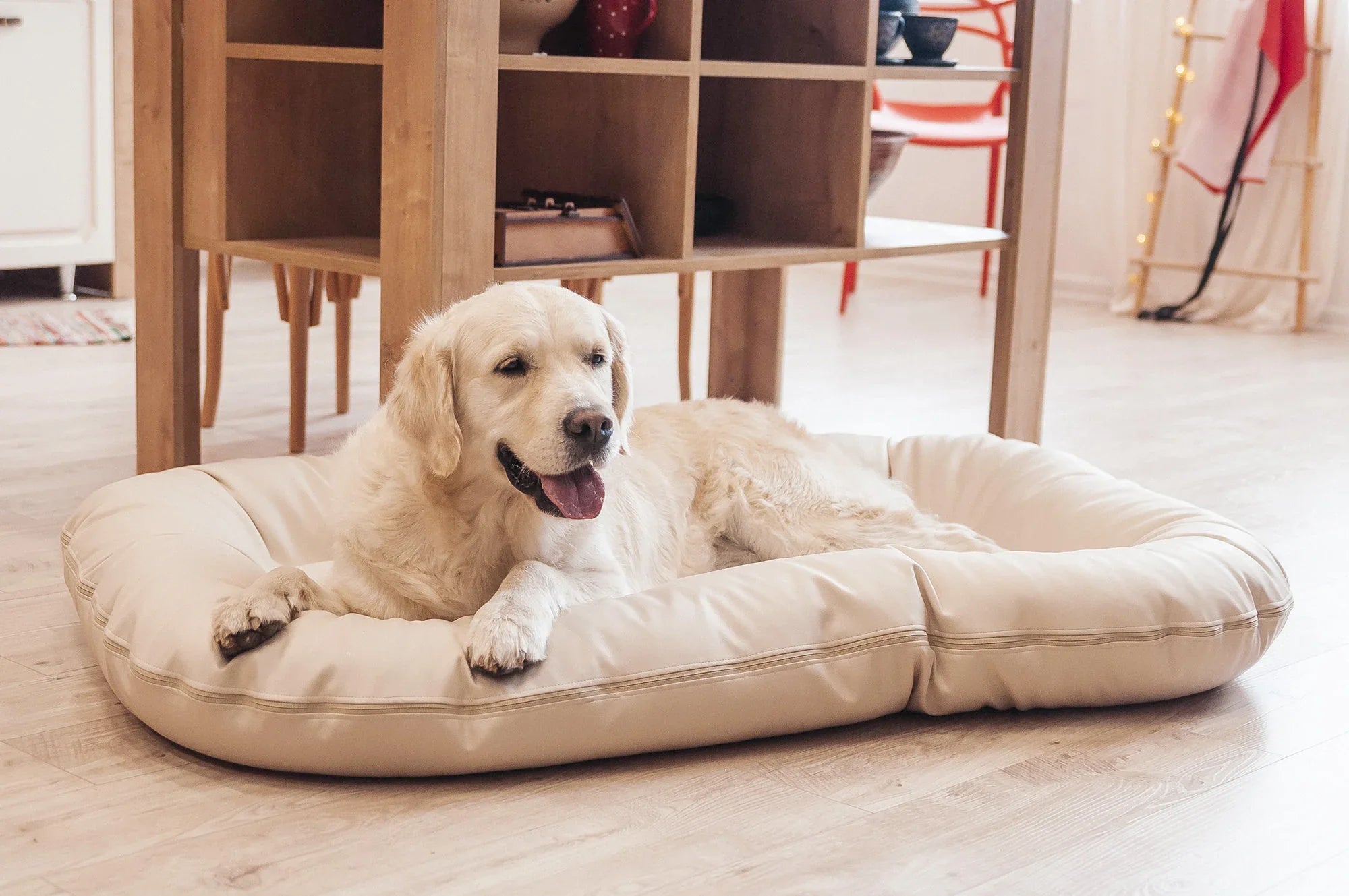 Hundebetten & Körbe