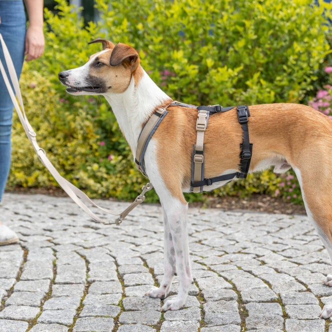 Trixie Panik-Adapter Stay für Geschirre
