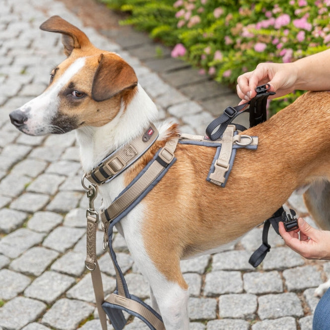 Trixie Panik-Adapter Stay für Geschirre