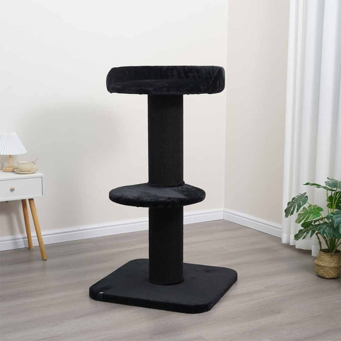 EBI Kratzbaum Mumbai