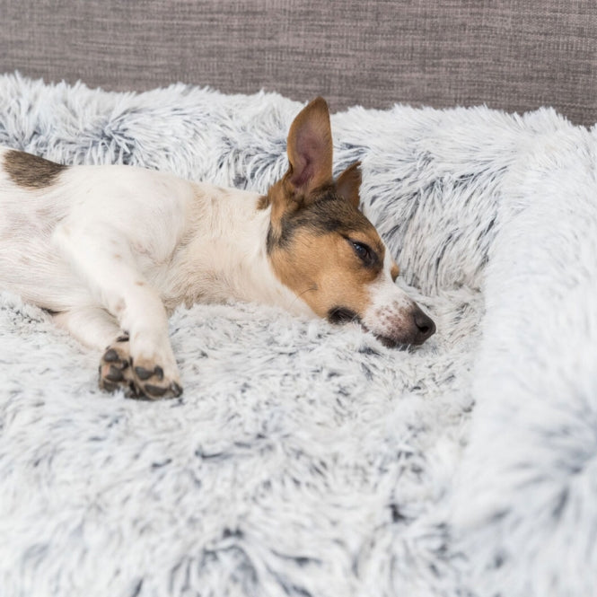 Trixie Polster-Schondecke Harvey 70x90 oder 90x90 cm