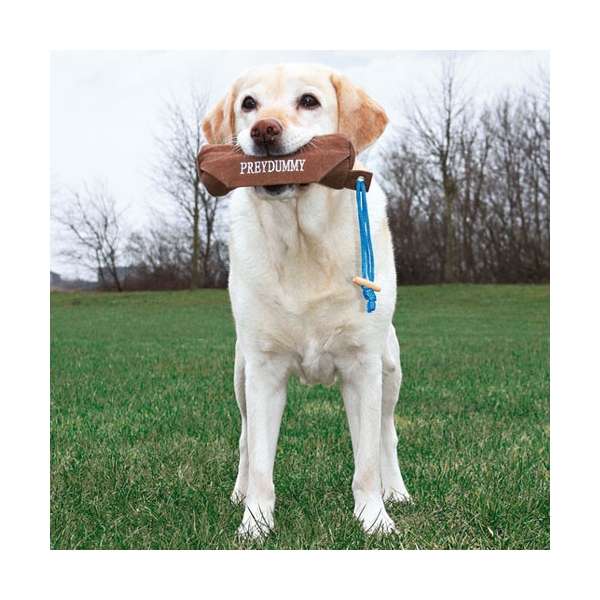 Trixie Preydummy - Canvas, Braun