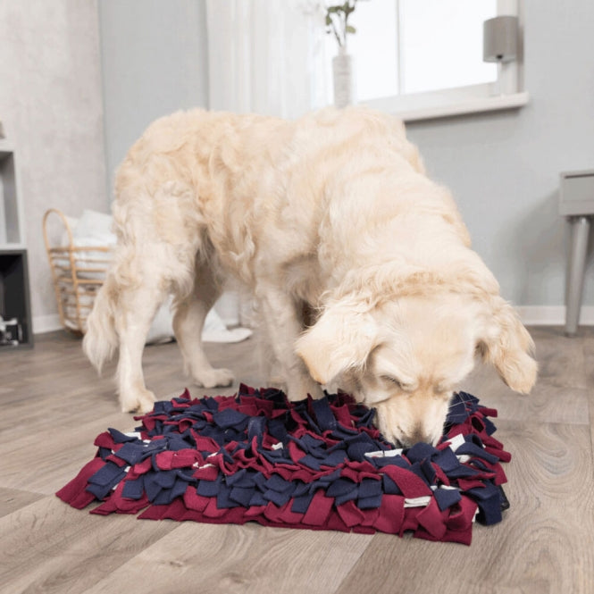 Trixie Schnüffelteppich Strategie-Spiel