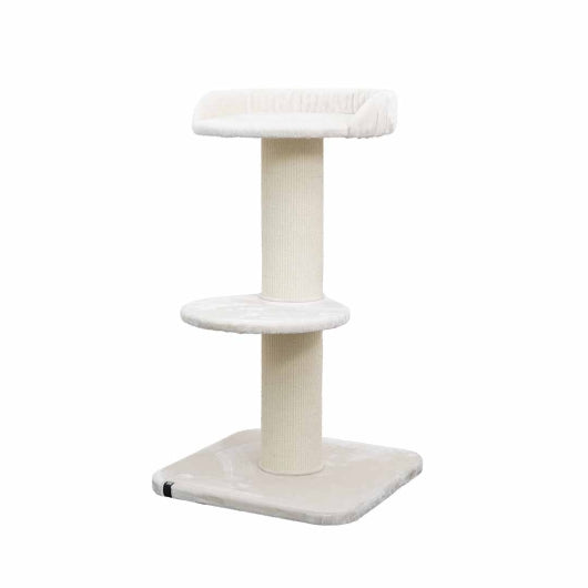 EBI Kratzbaum Mumbai