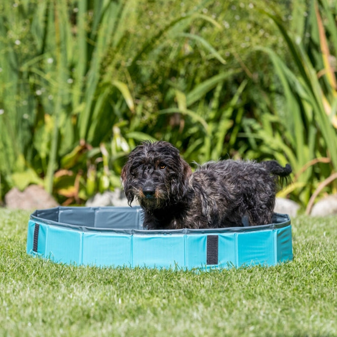 Trixie Hundepool - petrol/grau