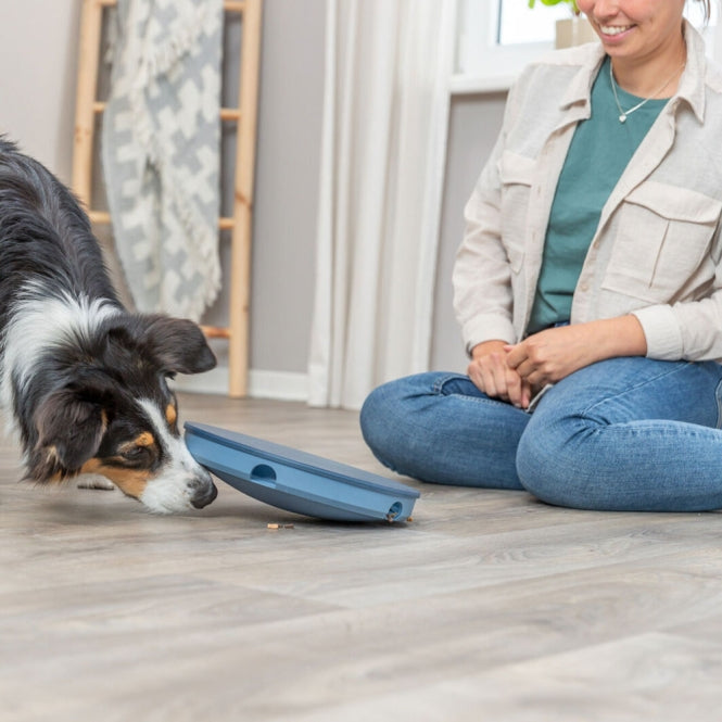 Trixie Dog Activity Rocking Maze