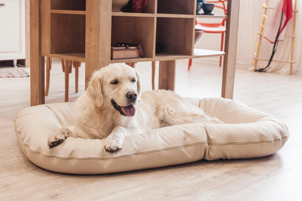 Hundebetten & Körbe