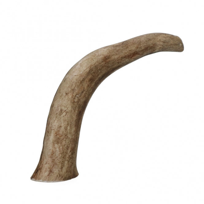 Viking Antler Hard Rothirschgeweih